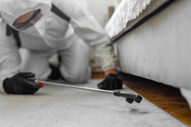 Professional Wasp Control technician working in Southern Shores, NC