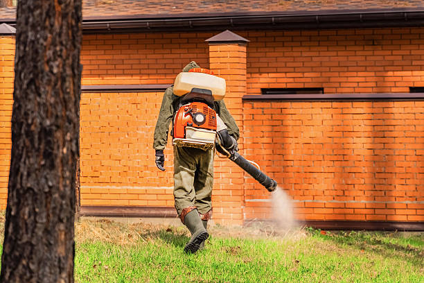 Trusted Fumigation Services service in Southern Shores, NC - Nex Pest Control